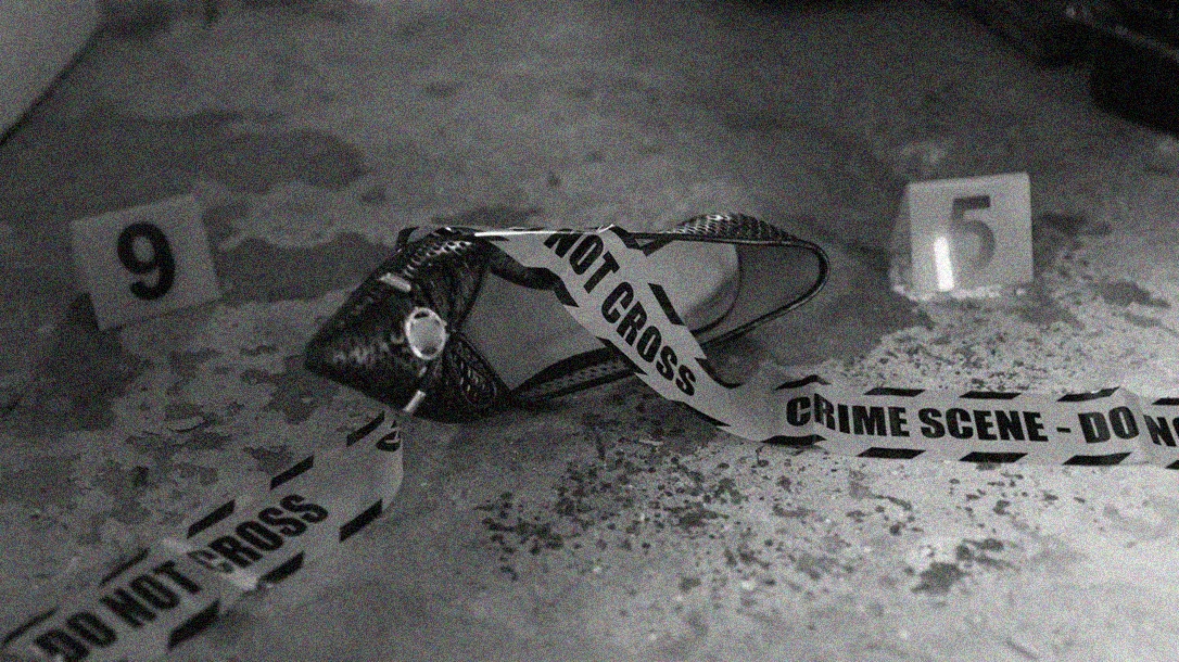 A horrific crime scene.