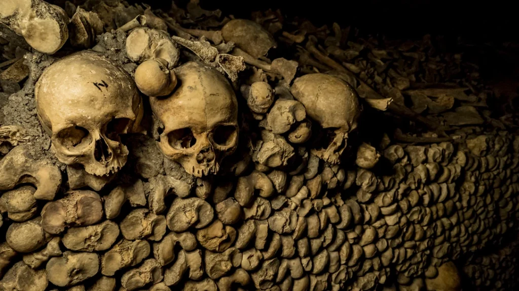 Dive into the eerie beauty of the Catacombs of Paris, where the bones of over six million souls tell stories of history.