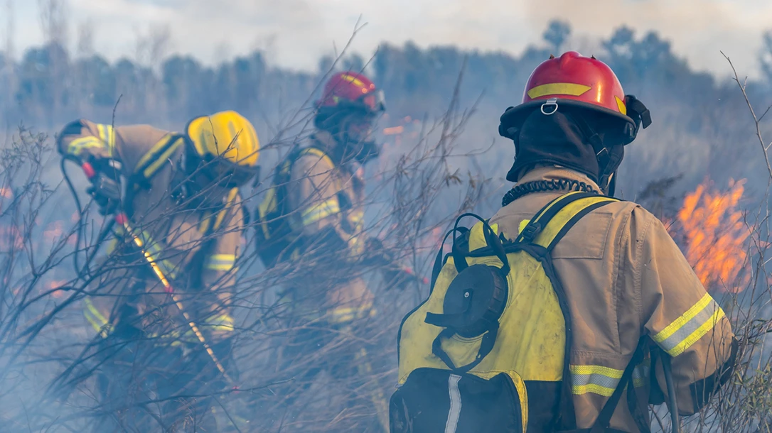 Wildland firefighters risk their lives to combat raging wildfires, employing advanced techniques to protect both people and the environment.