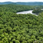 The Adirondacks, a hidden gem in upstate New York, span over six million acres, larger than Yellowstone, Yosemite, and the Grand Canyon combined.