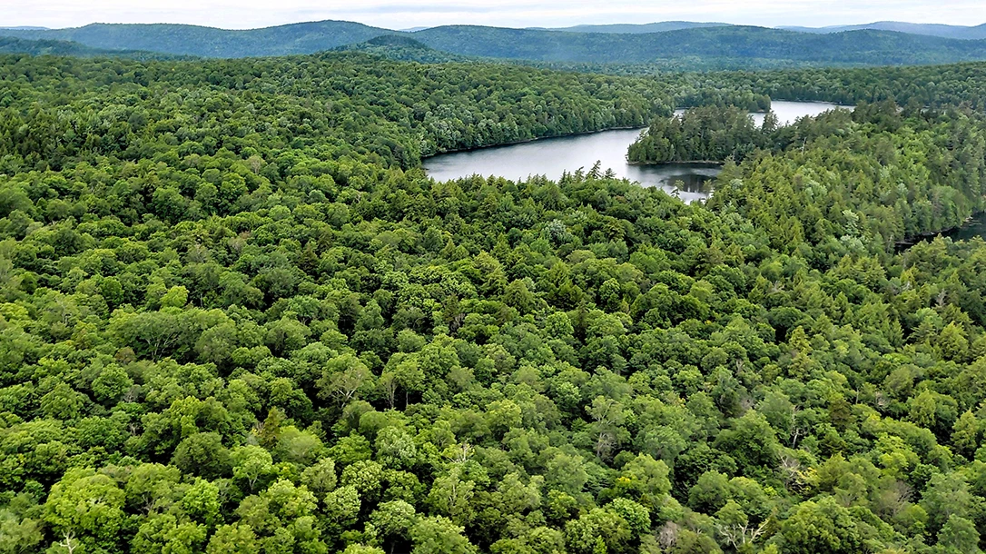 The Adirondacks, a hidden gem in upstate New York, span over six million acres, larger than Yellowstone, Yosemite, and the Grand Canyon combined.