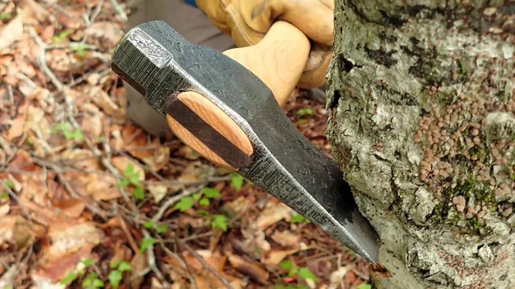 The 1.5-pound head and sharp bit of the Hoffman Trappers Hatchet bit deep with authority.