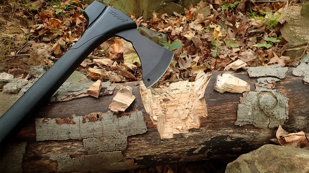 The axe threw big chips, chopping a dead maple. The weight from the hammer poll was sufficient to sink the sharp bit deeply without sticking.