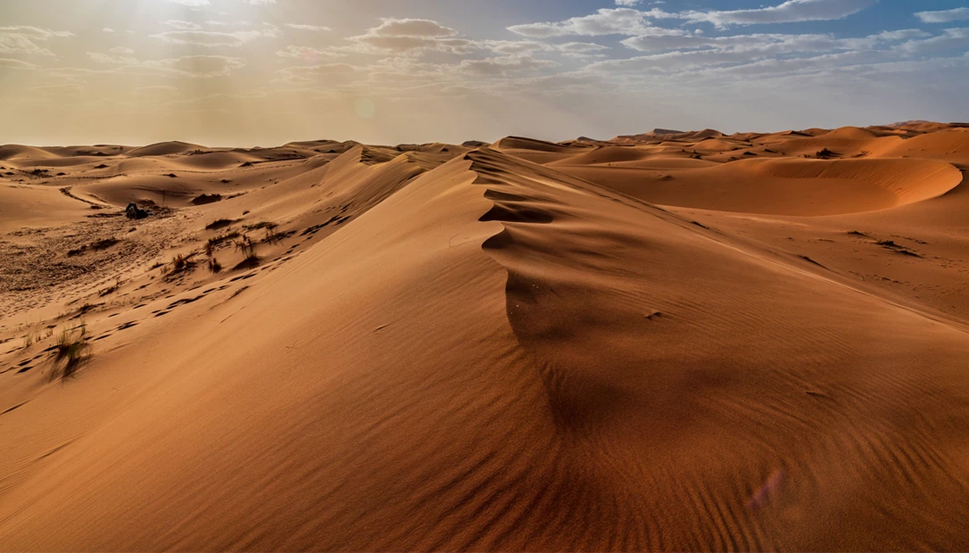 Read on to discover the true, breathtaking accounts that make up the world's most enduring survival stories.