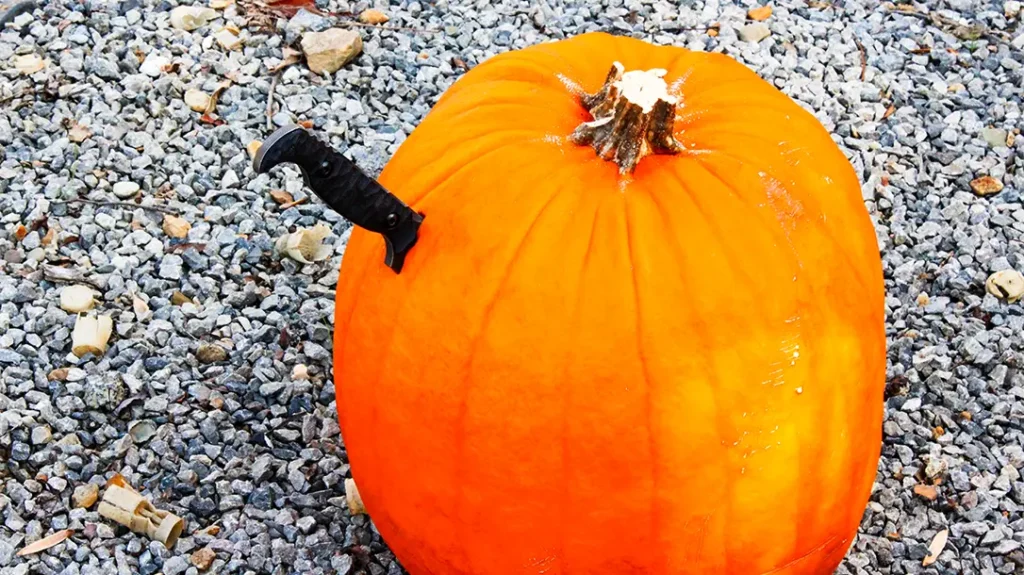 Unlike carving a Jack-O-Lantern, the author wanted to see how the blade performed in both slicing and stabbing.