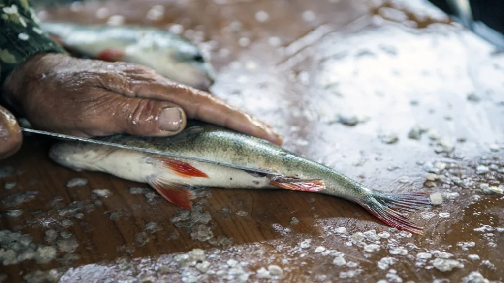 After “dirty” jobs like fish cleaning, your knives should be cleaned and dried thoroughly after use.