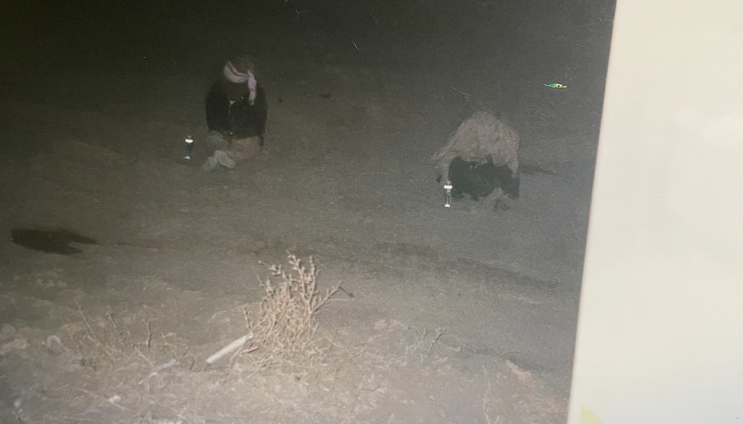 Stealthy recon unit advances under the cover of night.