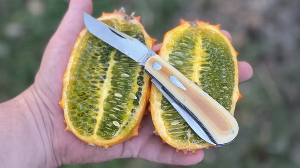 Grayson Jennings is a knifemaker in North Carolina specializing in traditional slipjoint designs.