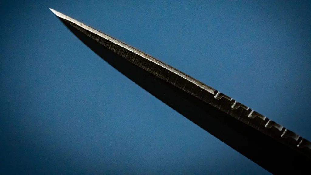 The top of the blade features a long bevel that runs nearly the full length, terminating at a reinforced tip.