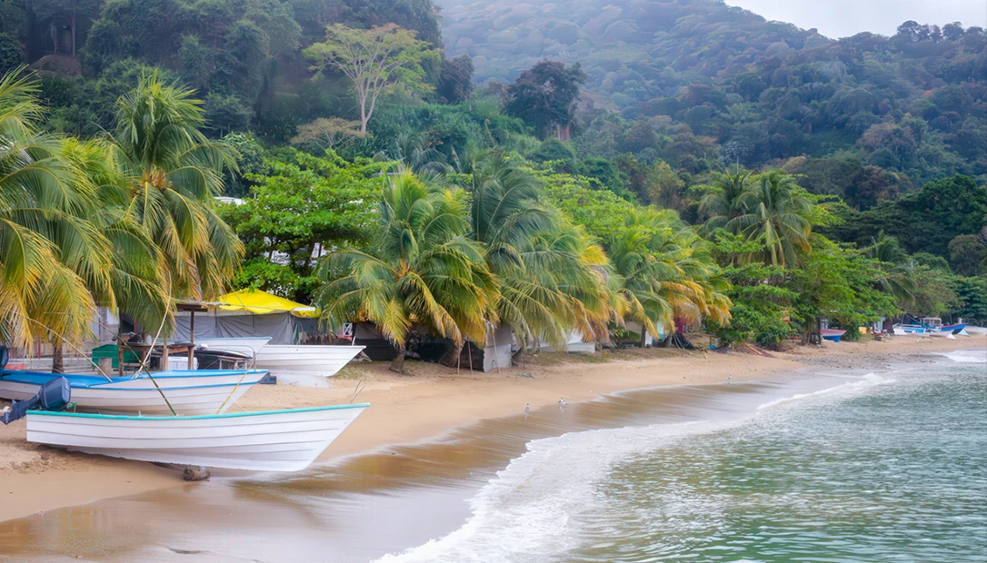Scenic beach with palm trees and blue ocean on Trinidad's picturesque Caribbean coastline.