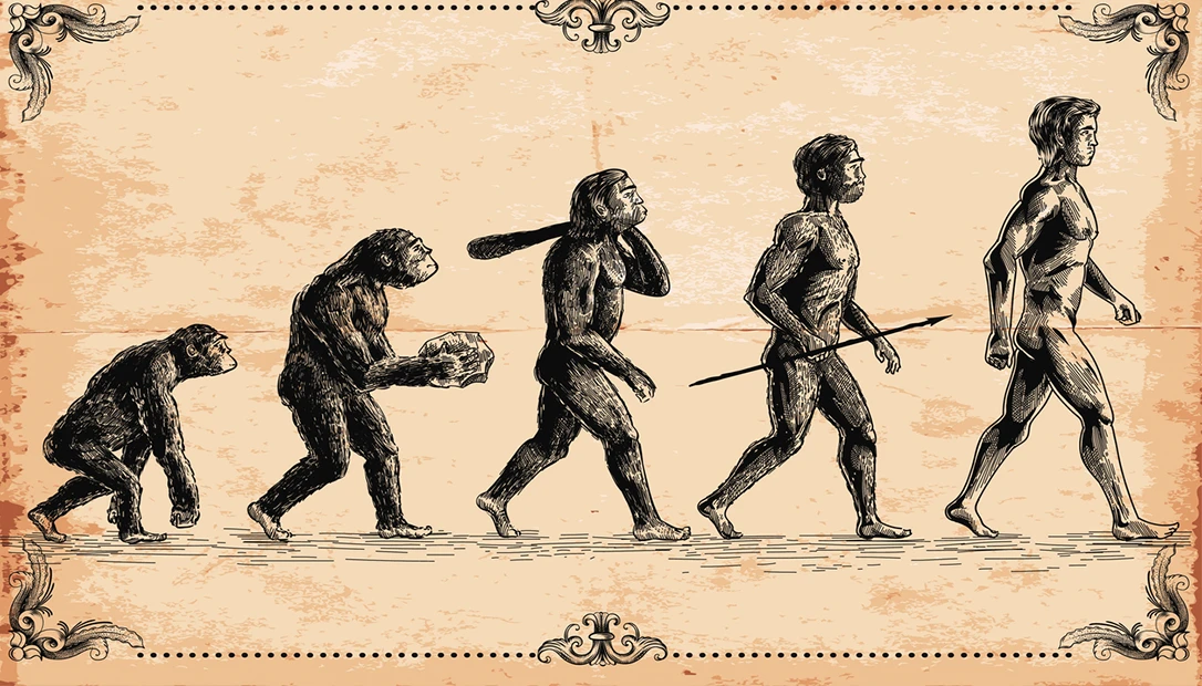 The evolution of man according to the Illuminati.