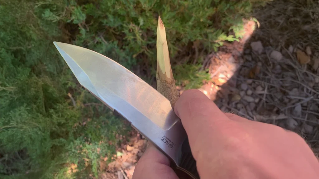 The GiantMouse Redington sharpened the Cottonwood branch to a spear-point with just a few smooth strokes.